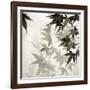 Florison 57-Alan Blaustein-Framed Photographic Print