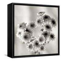 Florison 58-Alan Blaustein-Framed Stretched Canvas