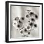 Florison 58-Alan Blaustein-Framed Photographic Print