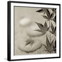 Florison 61-Alan Blaustein-Framed Photographic Print