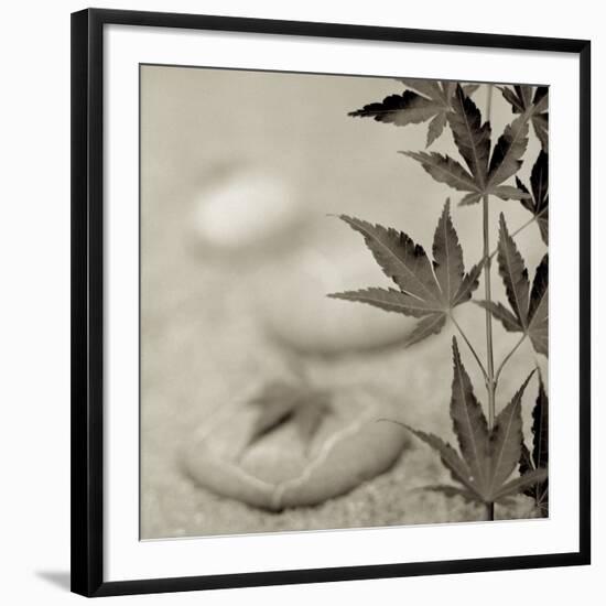 Florison 61-Alan Blaustein-Framed Premium Photographic Print