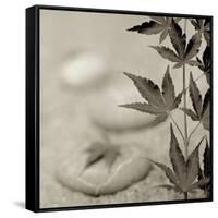 Florison 61-Alan Blaustein-Framed Stretched Canvas