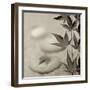 Florison 61-Alan Blaustein-Framed Photographic Print