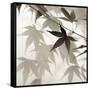 Florison 62-Alan Blaustein-Framed Stretched Canvas