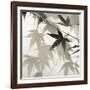 Florison 62-Alan Blaustein-Framed Photographic Print