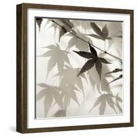 Florison 62-Alan Blaustein-Framed Photographic Print