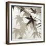 Florison 62-Alan Blaustein-Framed Photographic Print