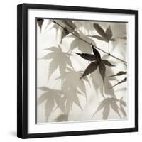 Florison 62-Alan Blaustein-Framed Photographic Print