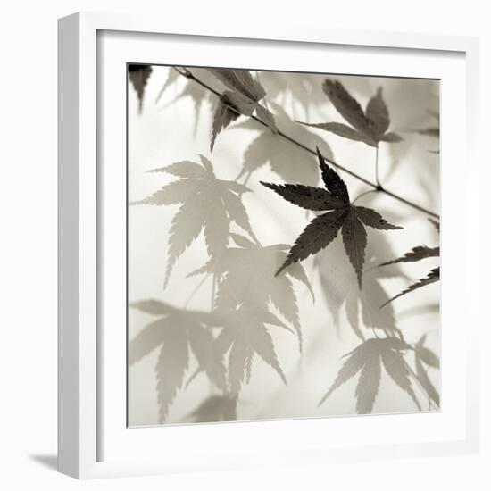 Florison 62-Alan Blaustein-Framed Photographic Print