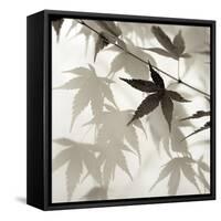 Florison 62-Alan Blaustein-Framed Stretched Canvas