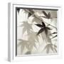 Florison 62-Alan Blaustein-Framed Premium Photographic Print