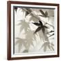 Florison 62-Alan Blaustein-Framed Photographic Print