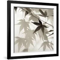 Florison 62-Alan Blaustein-Framed Photographic Print