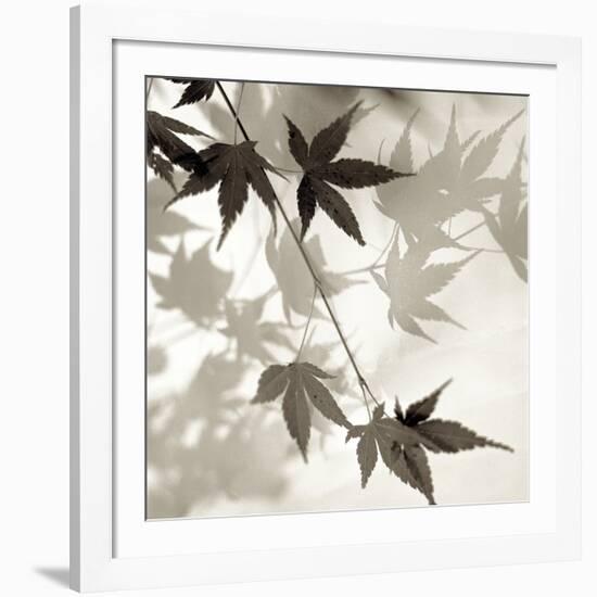 Florison 63-Alan Blaustein-Framed Photographic Print