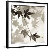 Florison 63-Alan Blaustein-Framed Photographic Print