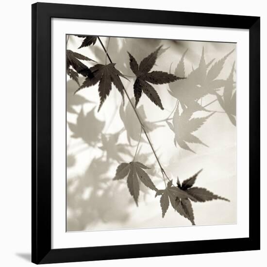 Florison 63-Alan Blaustein-Framed Photographic Print