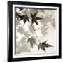 Florison 63-Alan Blaustein-Framed Photographic Print