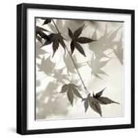 Florison 63-Alan Blaustein-Framed Photographic Print