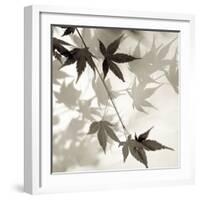 Florison 63-Alan Blaustein-Framed Photographic Print