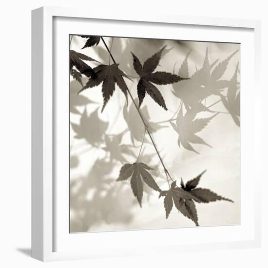 Florison 63-Alan Blaustein-Framed Photographic Print