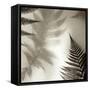 Florison 65-Alan Blaustein-Framed Stretched Canvas