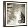 Florison 65-Alan Blaustein-Framed Photographic Print