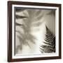 Florison 65-Alan Blaustein-Framed Photographic Print