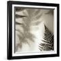 Florison 65-Alan Blaustein-Framed Photographic Print