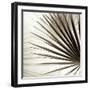 Florison 66-Alan Blaustein-Framed Photographic Print