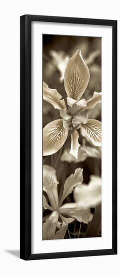 Florison 68-Alan Blaustein-Framed Photographic Print