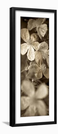 Florison 69-Alan Blaustein-Framed Premium Photographic Print