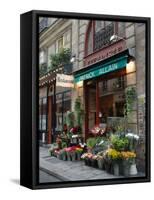 Florist in Ile St. Louis, Paris, France-Lisa S. Engelbrecht-Framed Stretched Canvas