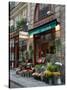 Florist in Ile St. Louis, Paris, France-Lisa S. Engelbrecht-Stretched Canvas