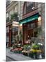 Florist in Ile St. Louis, Paris, France-Lisa S. Engelbrecht-Mounted Photographic Print