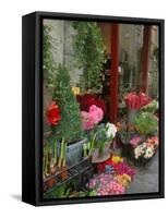 Florist in Ile St. Louis, Paris, France-Lisa S. Engelbrecht-Framed Stretched Canvas