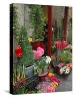 Florist in Ile St. Louis, Paris, France-Lisa S. Engelbrecht-Stretched Canvas