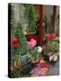 Florist in Ile St. Louis, Paris, France-Lisa S. Engelbrecht-Stretched Canvas