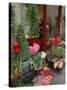 Florist in Ile St. Louis, Paris, France-Lisa S. Engelbrecht-Stretched Canvas