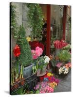 Florist in Ile St. Louis, Paris, France-Lisa S. Engelbrecht-Stretched Canvas