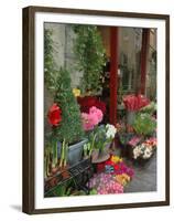 Florist in Ile St. Louis, Paris, France-Lisa S. Engelbrecht-Framed Premium Photographic Print