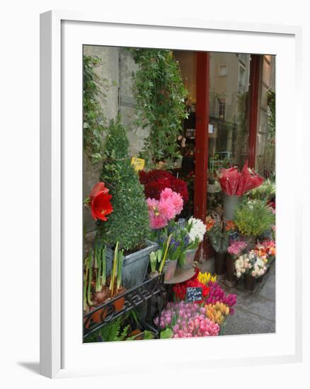 Florist in Ile St. Louis, Paris, France-Lisa S. Engelbrecht-Framed Premium Photographic Print