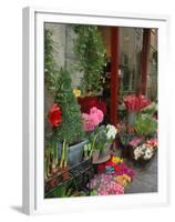Florist in Ile St. Louis, Paris, France-Lisa S. Engelbrecht-Framed Premium Photographic Print
