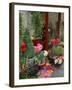 Florist in Ile St. Louis, Paris, France-Lisa S. Engelbrecht-Framed Premium Photographic Print