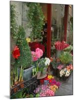 Florist in Ile St. Louis, Paris, France-Lisa S. Engelbrecht-Mounted Premium Photographic Print