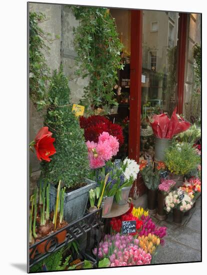 Florist in Ile St. Louis, Paris, France-Lisa S. Engelbrecht-Mounted Premium Photographic Print