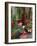 Florist in Ile St. Louis, Paris, France-Lisa S. Engelbrecht-Framed Photographic Print