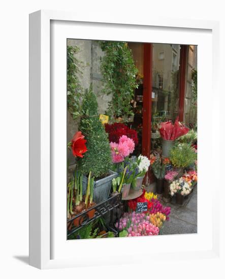 Florist in Ile St. Louis, Paris, France-Lisa S. Engelbrecht-Framed Photographic Print