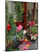 Florist in Ile St. Louis, Paris, France-Lisa S. Engelbrecht-Mounted Photographic Print