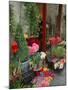 Florist in Ile St. Louis, Paris, France-Lisa S. Engelbrecht-Mounted Photographic Print