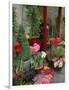 Florist in Ile St. Louis, Paris, France-Lisa S. Engelbrecht-Framed Photographic Print